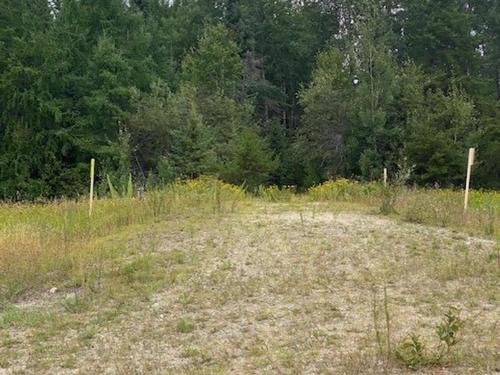 Gaye Street, Kenora, ON 