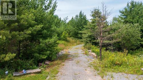 732 124 Highway, Mckellar, ON 