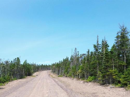 Lot 14 247 Highway, Grand Greve, NS 