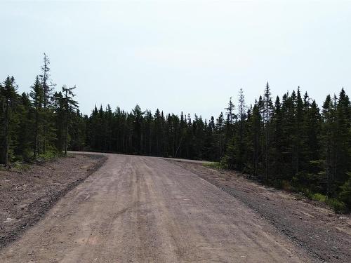 Lot 14 247 Highway, Grand Greve, NS 