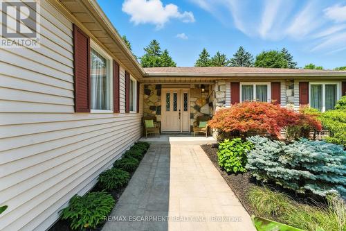 51 Pleasant Avenue, Hamilton, ON - Outdoor