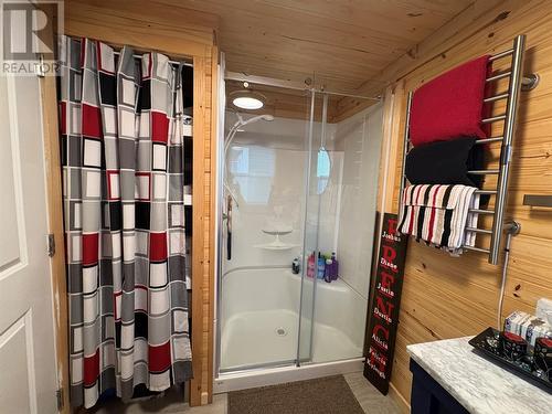 699 Winterhouse Road, St. David’S, NL - Indoor Photo Showing Bathroom