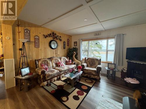 699 Winterhouse Road, St. David’S, NL - Indoor Photo Showing Living Room With Fireplace