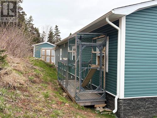 699 Winterhouse Road, St. David’S, NL - Outdoor