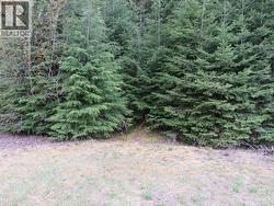 Lot B 3 Highway  Salmo, BC V0G 1Z0