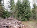 Lot B 3 Highway, Salmo, BC 