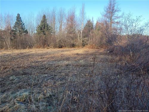 10665 Principale, Saint-Louis-De-Kent, NB 