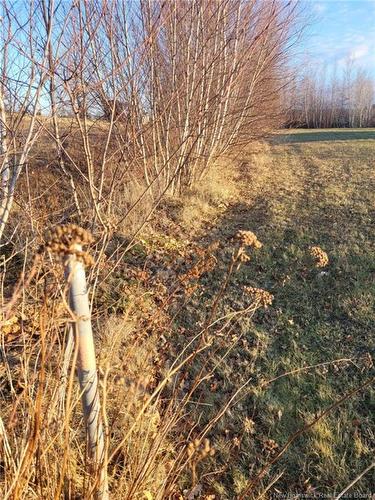 10665 Principale, Saint-Louis-De-Kent, NB 