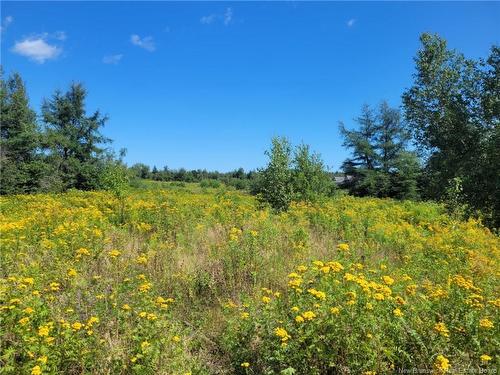10665 Principale, Saint-Louis-De-Kent, NB 