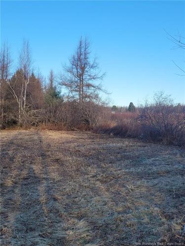 10665 Principale, Saint-Louis-De-Kent, NB 
