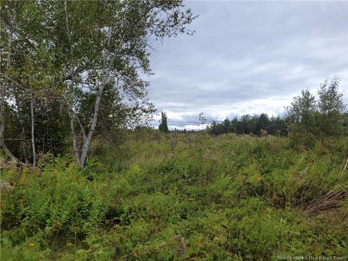 10665 Principale, Saint-Louis-De-Kent, NB 