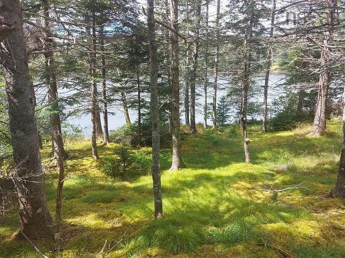 2B Wall Street, Cape George, NS 