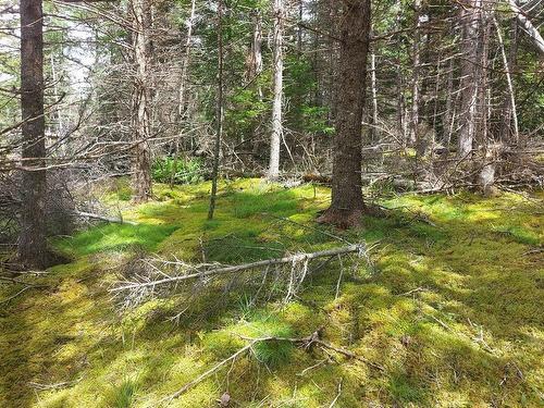 2B Wall Street, Cape George, NS 