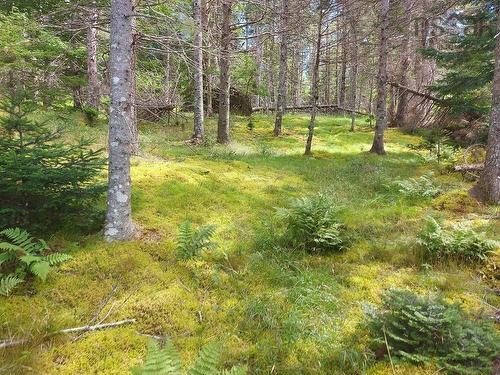 2B Wall Street, Cape George, NS 