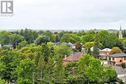 View from Roof Top - 