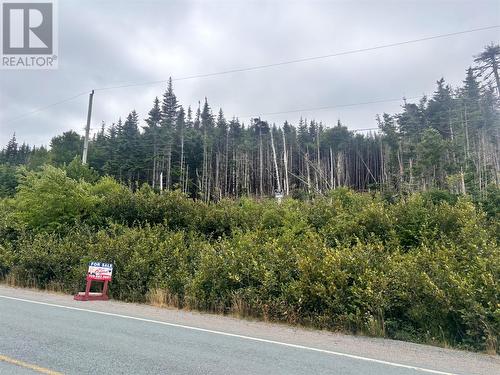 Lot 13 Main Highway Highway, Ferryland, NL 