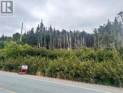 lot 13 Main Highway Highway  Ferryland, NL A0A 2H0