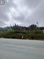 Lot 13 Main Highway  Ferryland, NL A0A 2H0