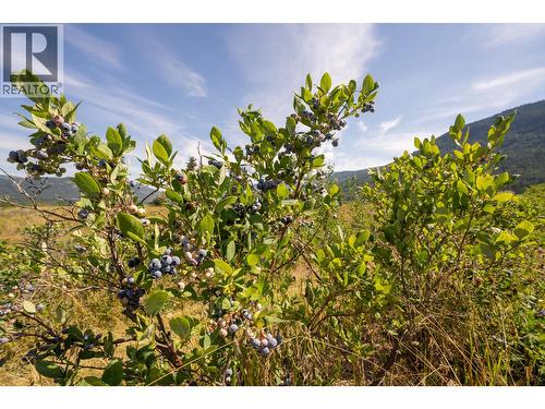 184 Monks Road, Grindrod, BC 