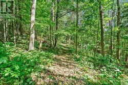 0 SHELTER VALLEY (PART 1) ROAD  Alnwick/Haldimand (Grafton), ON K0K 2G0