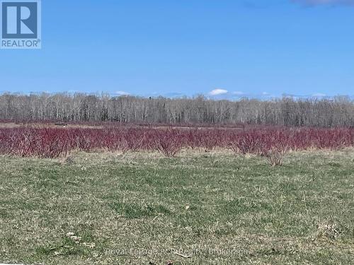 250 Scotch Line Road, Assiginack, ON 