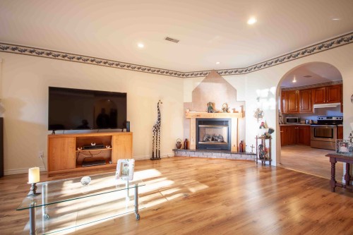 Living Room - 574Z Av. Fortin, Hemmingford - Village, QC - Indoor Photo Showing Living Room With Fireplace