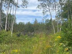 18 Adalynn Lane  Wyses Corner, NS B0N 1Y0