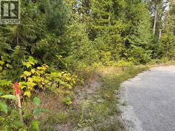 Lot 1 Chase Road  Christina Lake, BC V0H 1E0