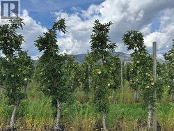 15812 Logie Road  Summerland, BC V0H 1Z6