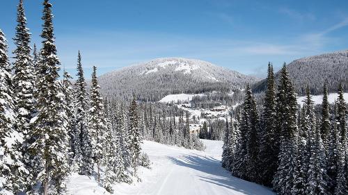 152 Clearview Crescent, Apex Mountain, BC - Outdoor With View