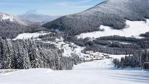 152 Clearview Crescent, Apex Mountain, BC - Outdoor With View