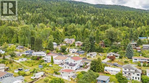 801 Houston Street, Nelson, BC - Outdoor With View