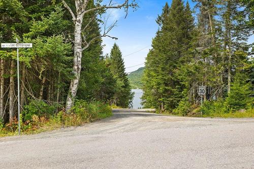 Vue - Ch. Du Lac-De-L'Orignal, Val-Des-Lacs, QC 