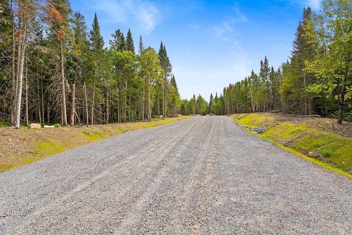 Street - Ch. Du Lac-De-L'Orignal, Val-Des-Lacs, QC 