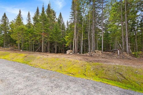 Land/Lot - Ch. Du Lac-De-L'Orignal, Val-Des-Lacs, QC 