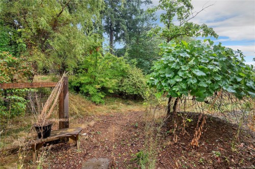 765 8Th Ave, Campbell River, BC 