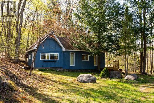 Bunkie - 21 Todholm Drive, Muskoka Lakes (Medora), ON - Outdoor