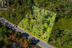 PT LOT 36 EDWINA DRIVE  Trent Lakes, ON K0M 1A0