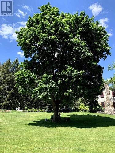 4075 The Grange Side Road E, Caledon, ON - Outdoor