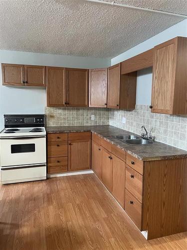 236 Nelson Street W, Virden, MB - Indoor Photo Showing Kitchen With Double Sink
