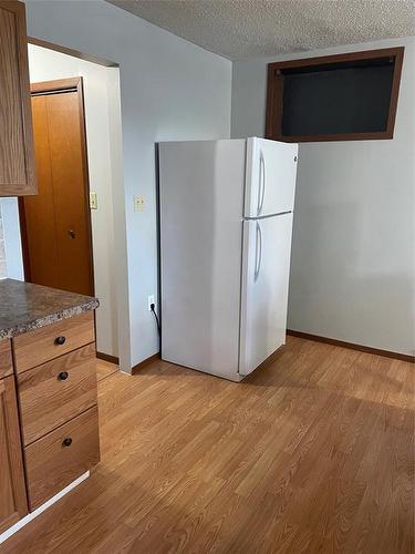236 Nelson Street W, Virden, MB - Indoor Photo Showing Kitchen