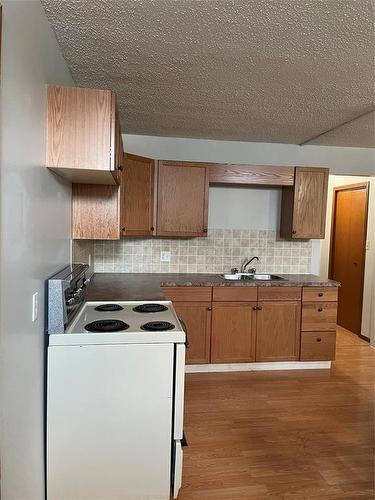 236 Nelson Street W, Virden, MB - Indoor Photo Showing Kitchen
