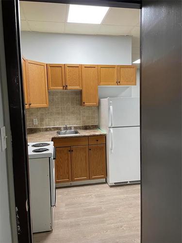 236 Nelson Street W, Virden, MB - Indoor Photo Showing Kitchen