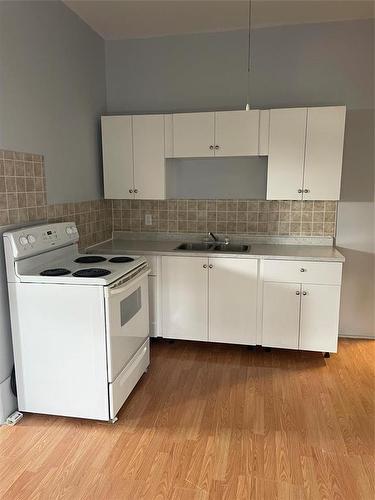 236 Nelson Street W, Virden, MB - Indoor Photo Showing Kitchen With Double Sink