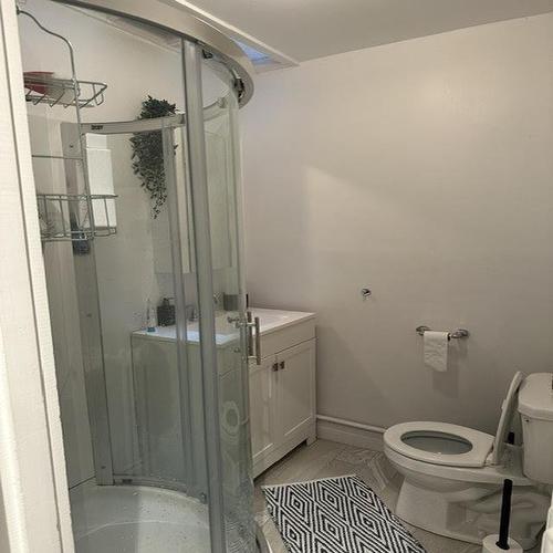 Bathroom - 4591 Rue Michel-Bibaud, Montréal (Côte-Des-Neiges/Notre-Dame-De-Grâce), QC - Indoor Photo Showing Bathroom