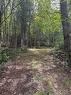 194 Upper Waweig Rd, Waweig, NB 