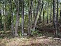 194 Upper Waweig Rd, Waweig, NB 
