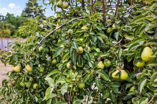 1968 Estevan Rd, Nanaimo, BC 