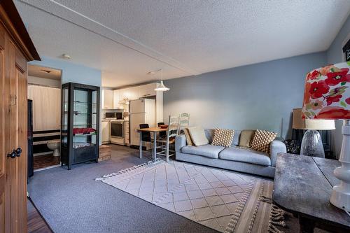 Logement - 208  - 210 Ch. Boulanger, Sutton, QC - Indoor Photo Showing Living Room