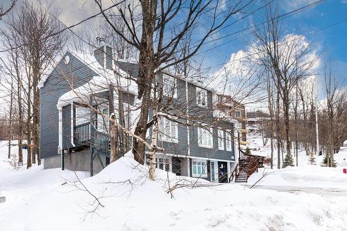 Façade - 208  - 210 Ch. Boulanger, Sutton, QC - Outdoor